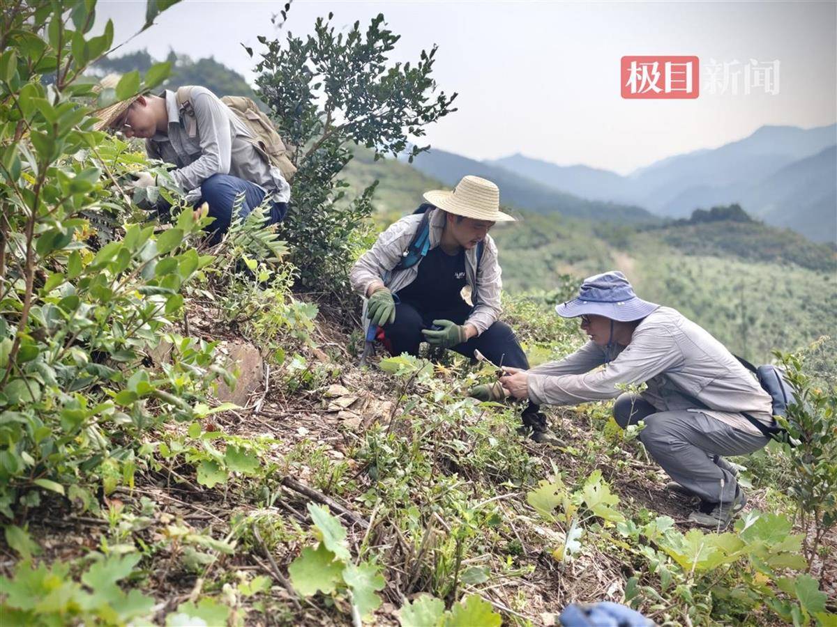 皇冠信用开号_十大进展皇冠信用开号！湖北地质探明恩施4000亿立方页岩气资源