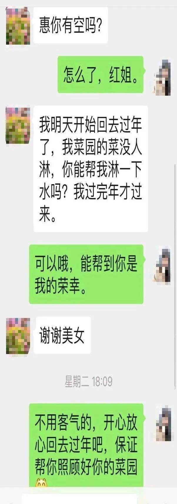 皇冠信用网出租代理_深圳一市民回乡皇冠信用网出租代理，菜地无人打理，网格员：放心回去过年