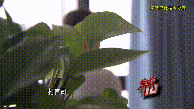 皇冠信用出租
_37岁痴情女子倾尽百万泡面果腹仍坚持转账：帮皇冠信用出租
他有种使命感