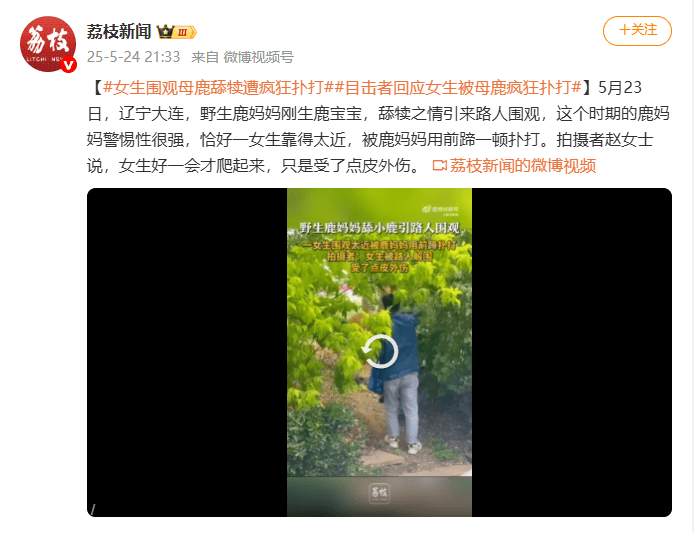 皇冠皇冠足球平台
_视频曝光！大连一女子在市区内遭母鹿疯狂扑打皇冠皇冠足球平台
，知情人称疑因拍刚出生小鹿，当地：已贴告示提醒，择机将鹿迁移回山里
