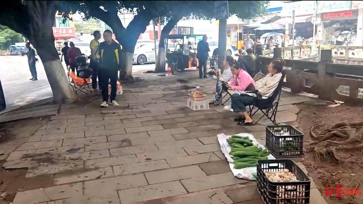 皇冠信用网代理注册
_“天价”鸡枞调查：最贵卖到1800元/公斤！雨水少致产量低皇冠信用网代理注册
，多地价高客少