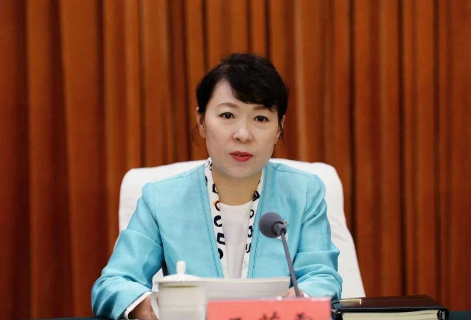 艾里斯vs阿波罗利马素尔
_“换装主席”王莉霞的堕落：从光鲜人设到腐败深渊