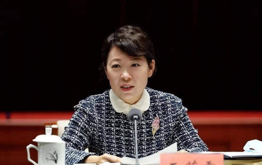 艾里斯vs阿波罗利马素尔
_“换装主席”王莉霞的堕落：从光鲜人设到腐败深渊