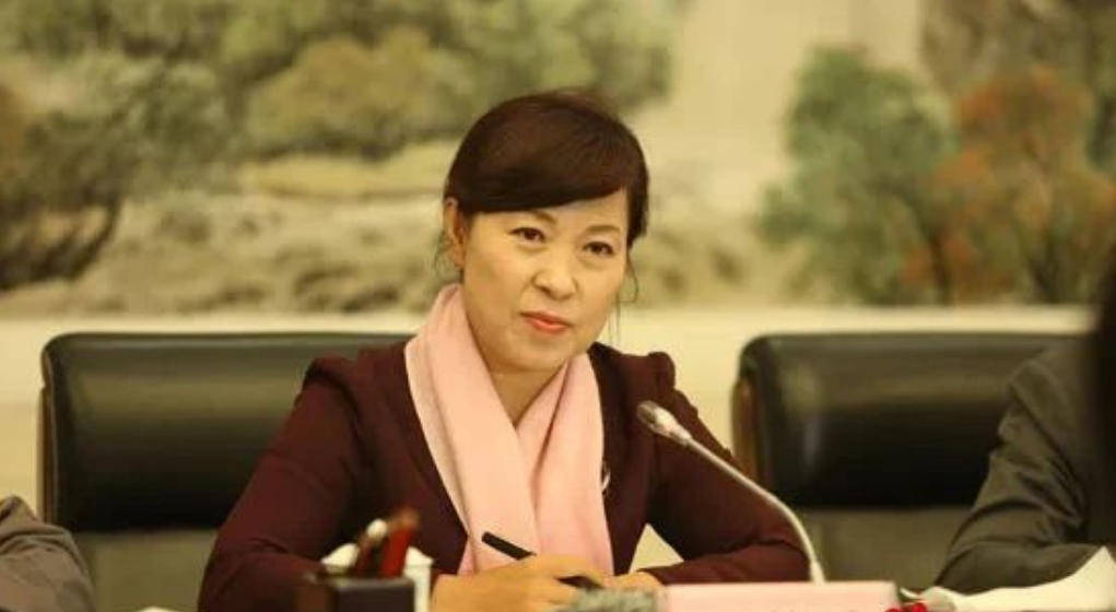 艾里斯vs阿波罗利马素尔
_“换装主席”王莉霞的堕落：从光鲜人设到腐败深渊