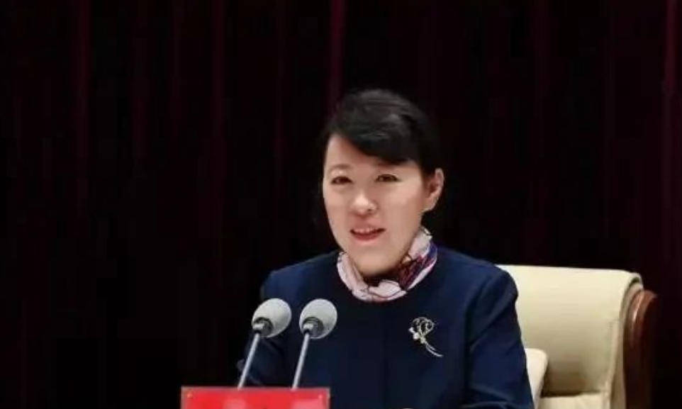 艾里斯vs阿波罗利马素尔
_“换装主席”王莉霞的堕落：从光鲜人设到腐败深渊