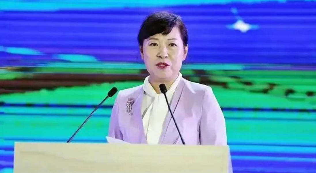 艾里斯vs阿波罗利马素尔
_“换装主席”王莉霞的堕落：从光鲜人设到腐败深渊