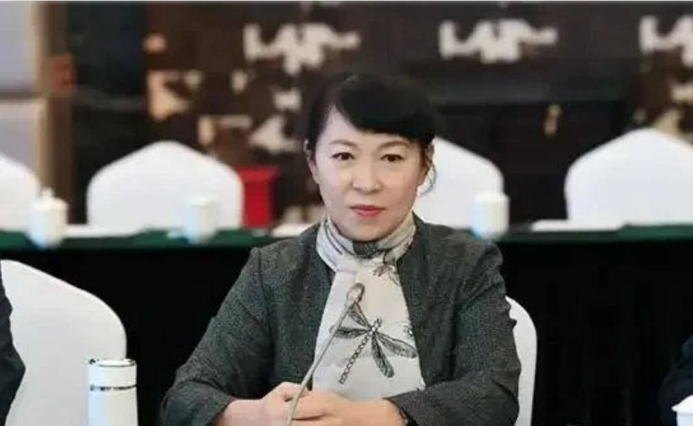 艾里斯vs阿波罗利马素尔
_“换装主席”王莉霞的堕落：从光鲜人设到腐败深渊