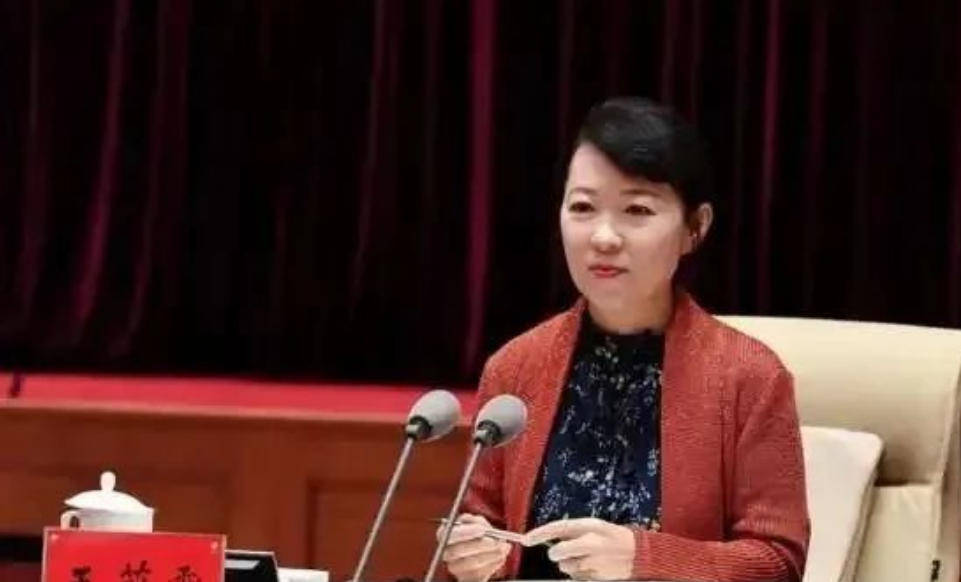 艾里斯vs阿波罗利马素尔
_“换装主席”王莉霞的堕落：从光鲜人设到腐败深渊