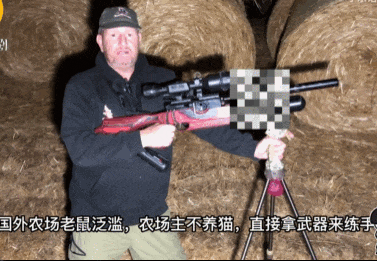 世界杯信用网正网
_头部中弹!近日安徽18岁男孩深夜遭遇枪击世界杯信用网正网
,枪是从哪来的?