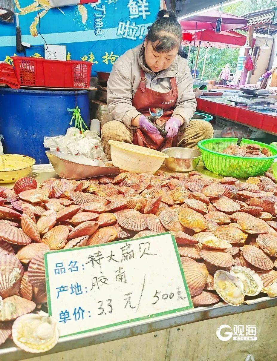 皇冠信用盘登1
_10元四斤!青岛人爱吃的它皇冠信用盘登1
,大量上市了,网友:今晚就安排上桌……