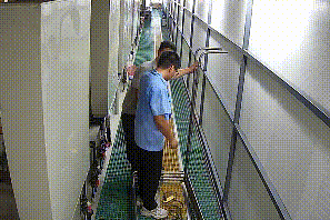 皇冠信用盘会员注册网址
_【关注消防】数十万损失+10日拘留皇冠信用盘会员注册网址
！违规动火的“天价账单”