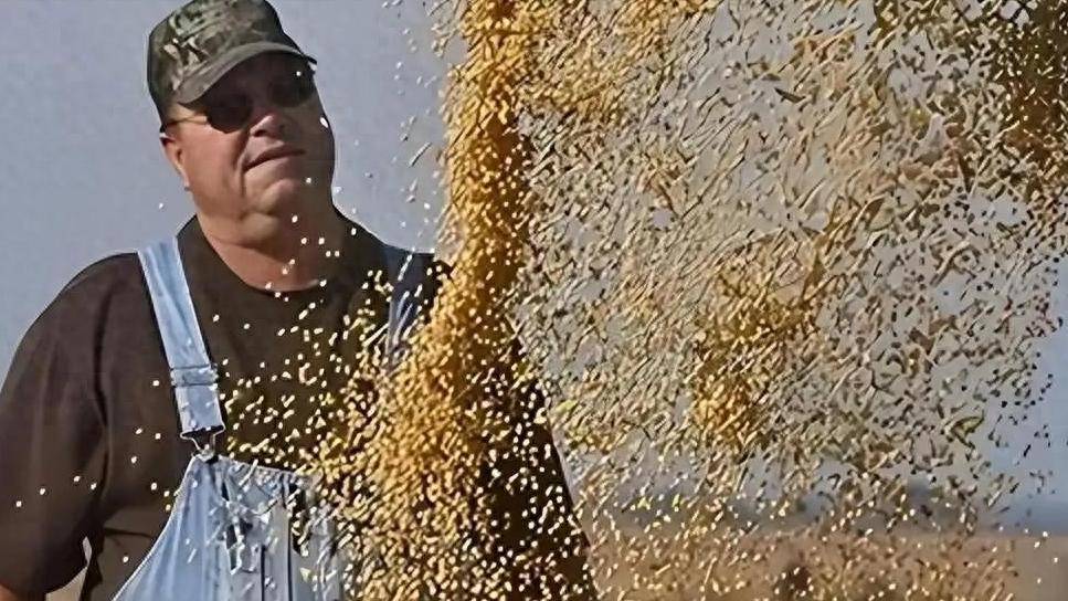 登1登2登3信用盘
_200万吨大豆烂港！巴西主动降价登1登2登3信用盘
，中国转头下单三船美国大豆，巴西自食其果了