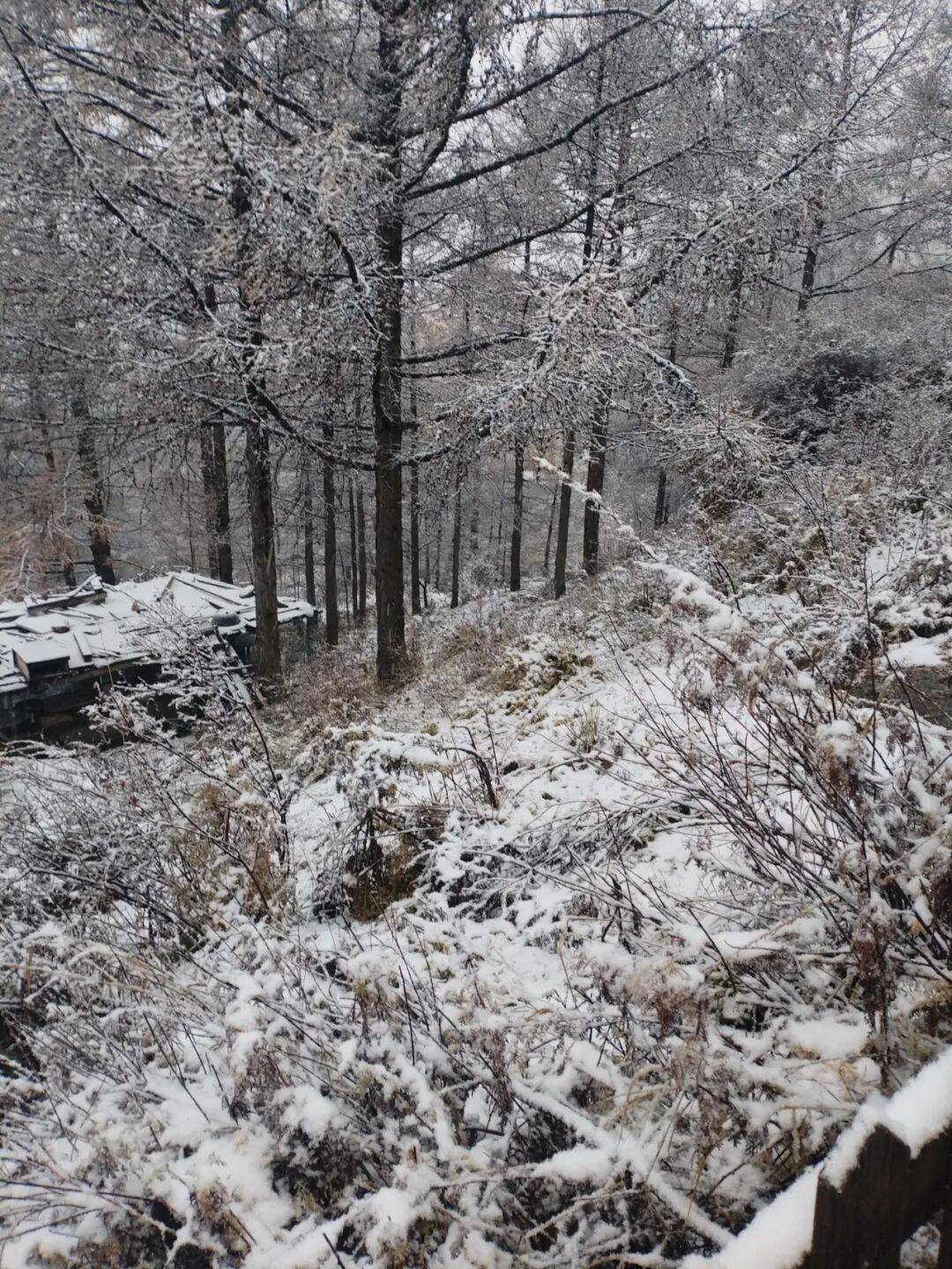 正版皇冠信用网开户
_石家庄下雪了!河北将迎中到大雪正版皇冠信用网开户
,未来三天……