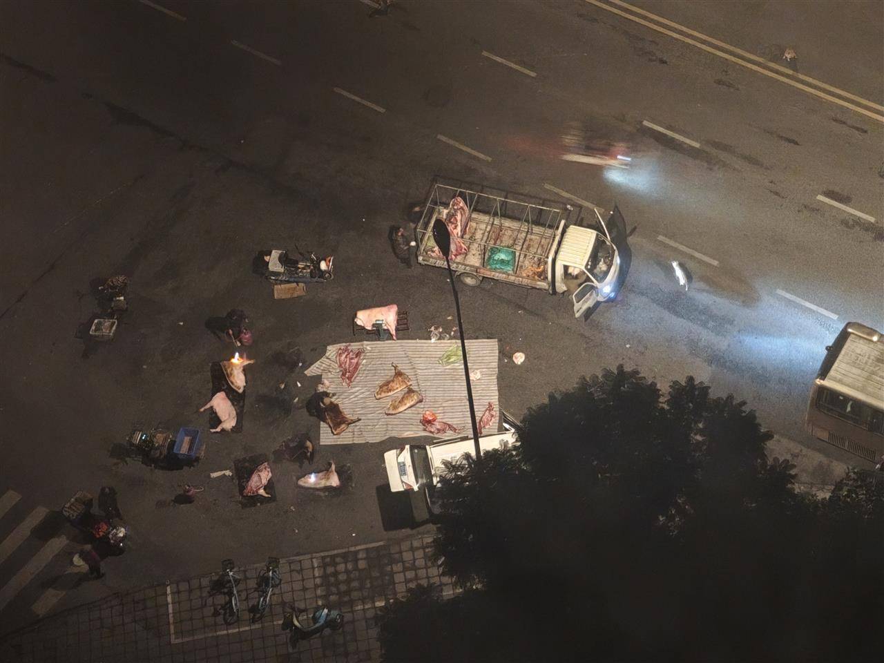 皇冠信用网登2代理
_成都街头凌晨惊现“流动猪肉摊”皇冠信用网登2代理
，一群人在路边地上剁猪肉为摊贩供货，当地回应