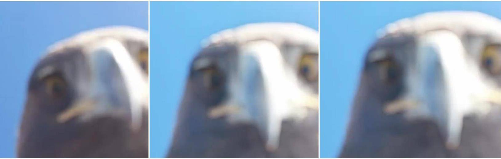 皇冠登2代理_土耳其老鹰空中抓走无人机皇冠登2代理，带上山顶“玩自拍”