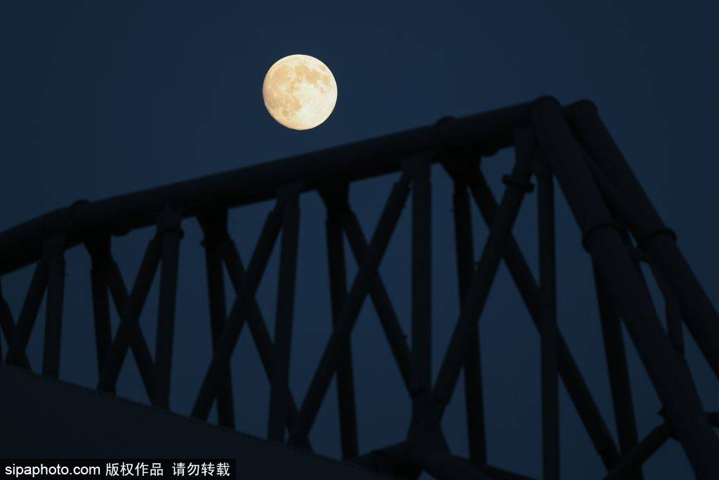 血月是怎么来的_维尔茨横空出世！英超单场过人7+血月是怎么来的，他是利物浦近10季第3人，未来可期！