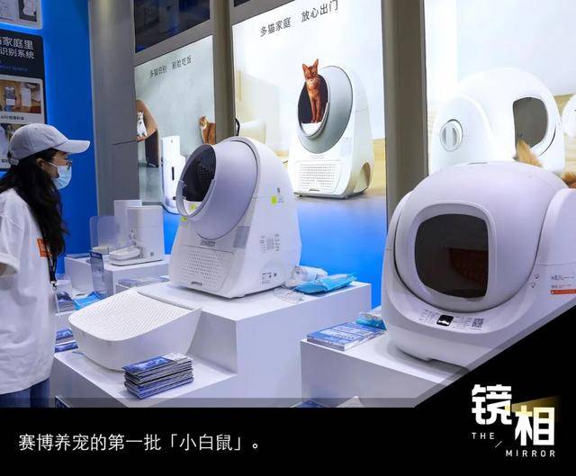 邓迪vs邓迪联_AI养宠神器邓迪vs邓迪联，收割年轻人