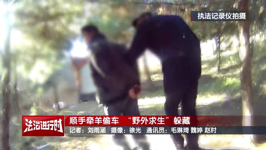 维塞乌U23 vs雷克斯欧斯U23_北京警方刑拘1名“荒野求生”爱好者