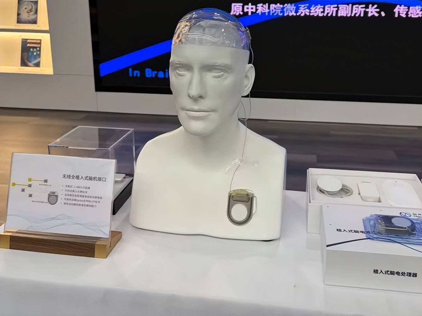 球会友谊赛_上海一厅局级干部突然辞职球会友谊赛，刚40岁出头！离开体制后，他比以前更忙了，全职创业究竟值吗？