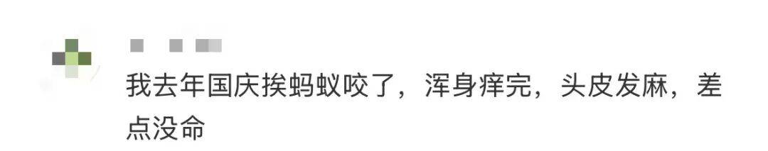 皇冠信用网登3_网友炸锅皇冠信用网登3！广东多个公园、绿化带中出现！深圳疾控紧急提醒：远离这种小土堆
