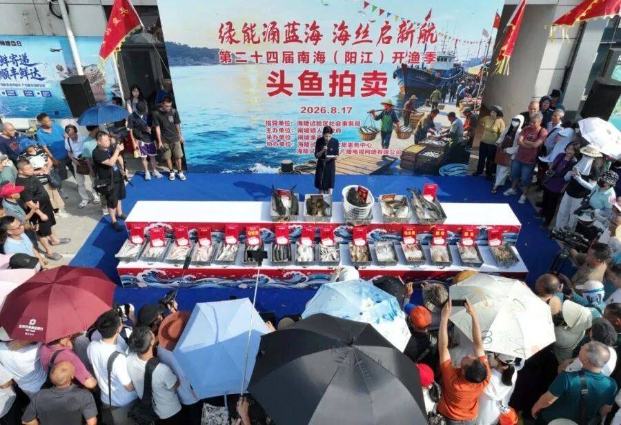 皇冠管理端_广东男子花3.8万元拍下38斤巨型“鱼王”！南海开渔第一鲜上岸皇冠管理端，一大批海鲜按筐买