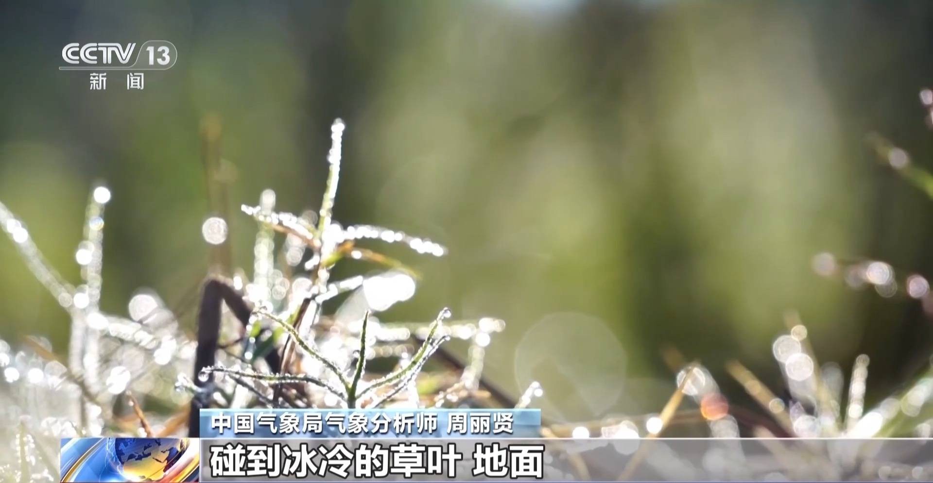 墨西哥超级联赛-特别投注_霜降天一定会降霜吗墨西哥超级联赛-特别投注？霜降≠降霜